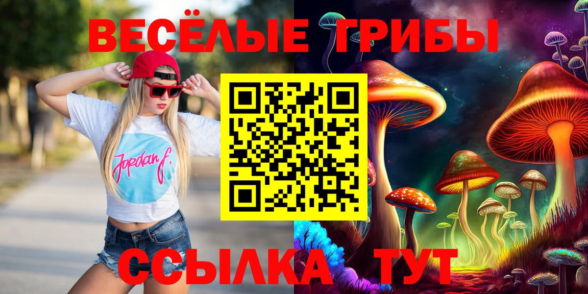 Галлюциногенные грибы мухоморы  наркотики  Междуреченск  Вход с VPN 