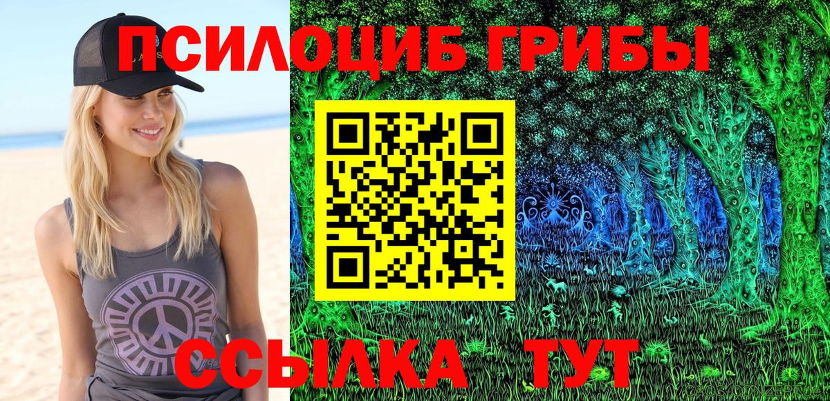 Галлюциногенные грибы GOLDEN TEACHER Междуреченск